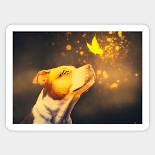 Staffordshire Bull Terrier and butterfly photo manipulation Magic moment Sticker